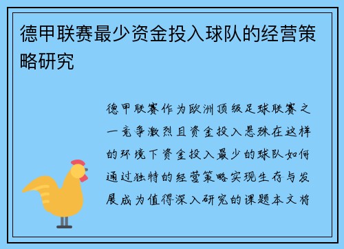 德甲联赛最少资金投入球队的经营策略研究