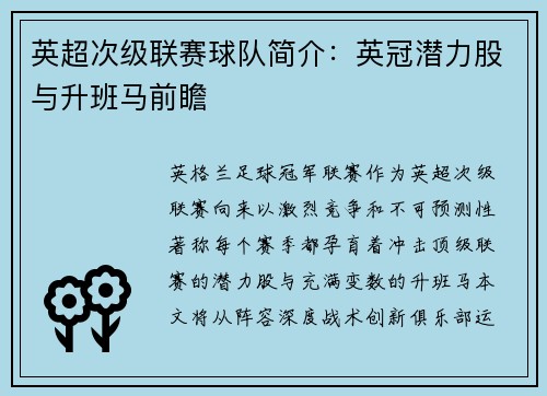 英超次级联赛球队简介：英冠潜力股与升班马前瞻